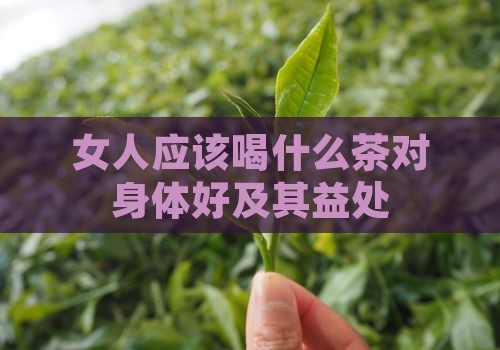 女人应该喝什么茶对身体好