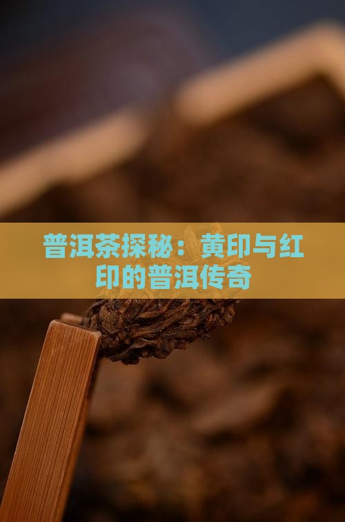 普洱茶的黄印和红印