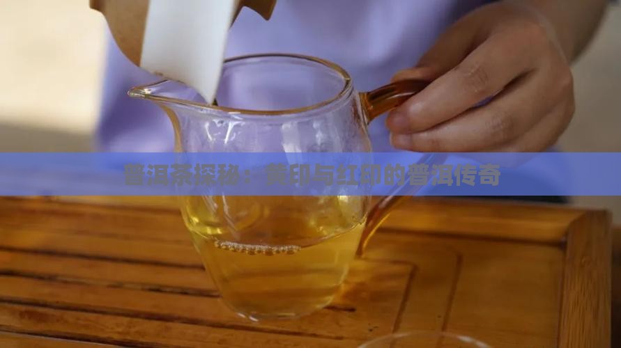 普洱茶的黄印和红印