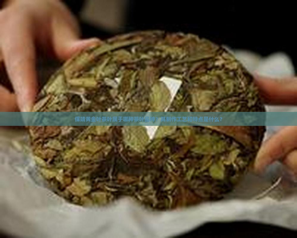 保靖黄金叶茶叶是什么茶