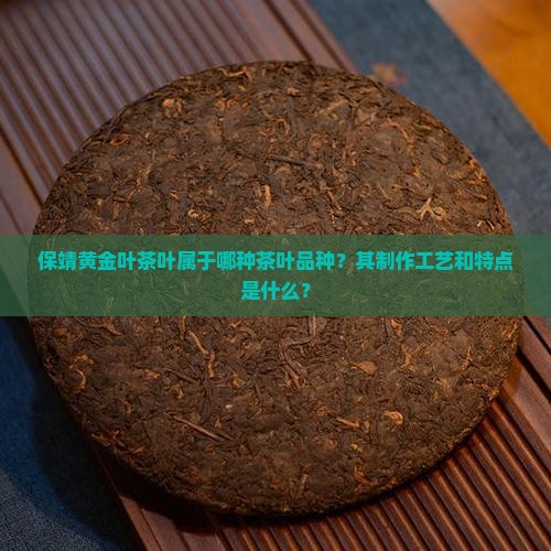 保靖黄金叶茶叶是什么茶