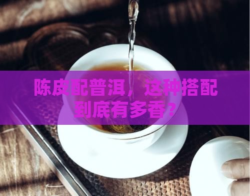怎样煮陈皮和普洱茶