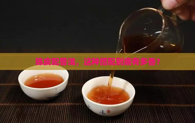 怎样煮陈皮和普洱茶