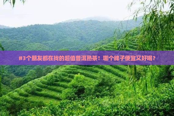 普洱熟茶哪个牌子好价格便宜