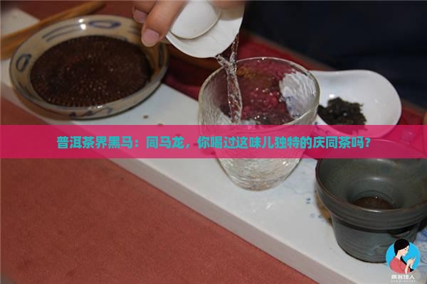庆同马龙普洱茶