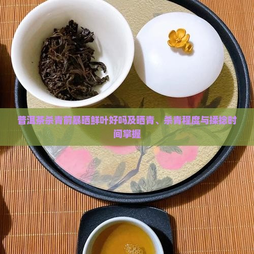 普洱茶杀青前暴晒鲜叶好吗