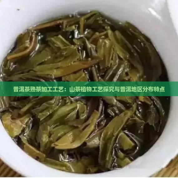熟普洱茶加工工艺