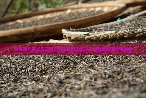熟普洱茶加工工艺