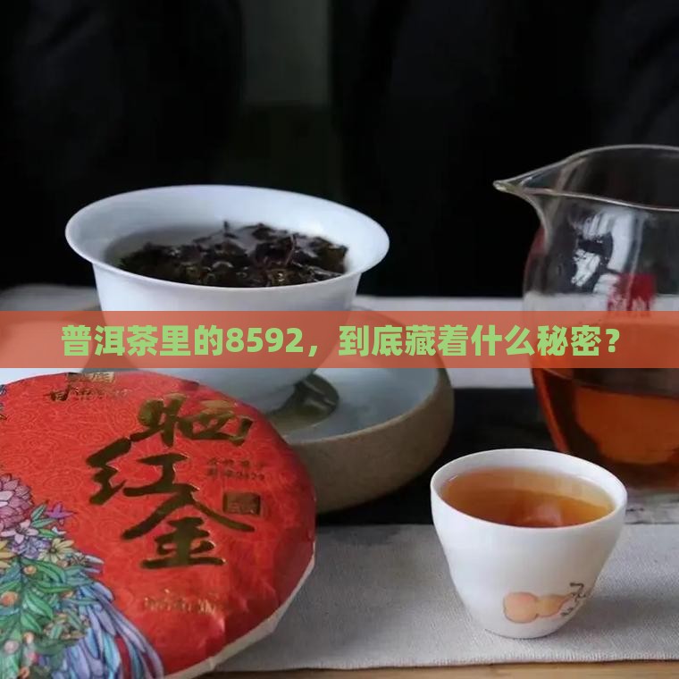 普洱茶8592是什么意思