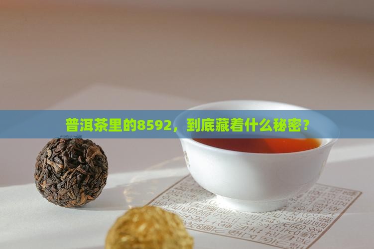 普洱茶8592是什么意思