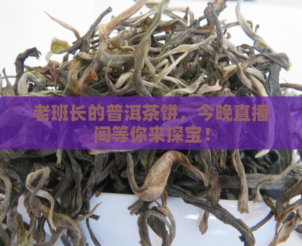 老班长普洱茶饼直播