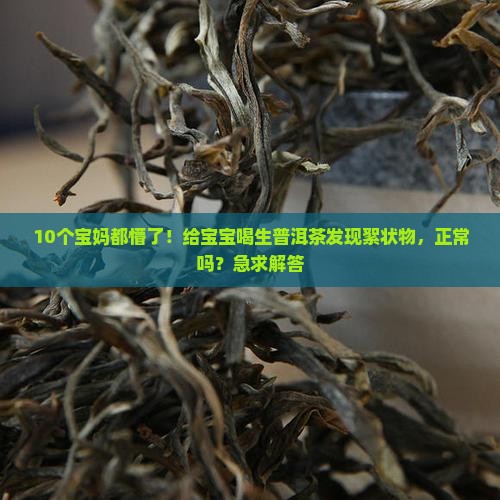 生普洱茶里絮状物