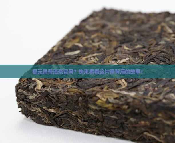 福元昌普洱茶官网
