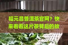 福元昌普洱茶官网