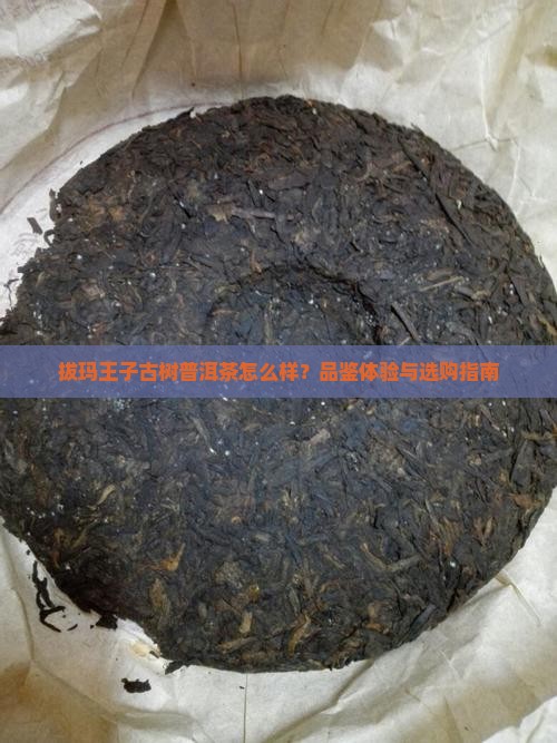 拔玛王子古树普洱茶怎么样