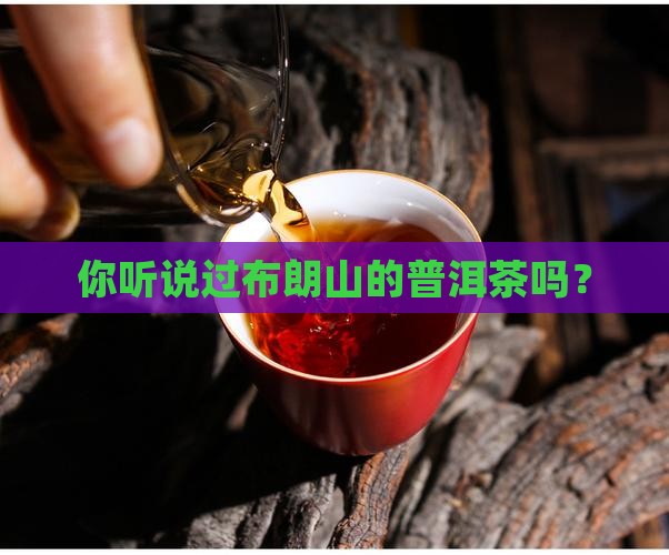 布朗有哪些普洱茶