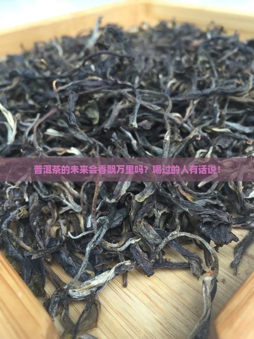 普洱茶未来前景
