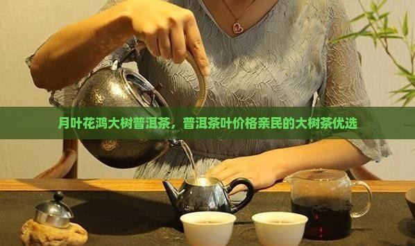 月叶花鸿大树普洱茶