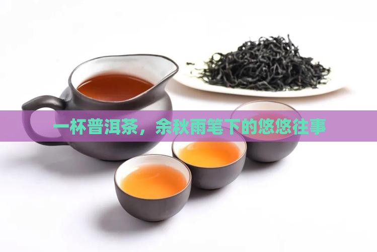 余秋雨散文普洱茶