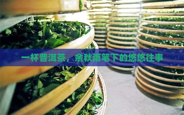 余秋雨散文普洱茶