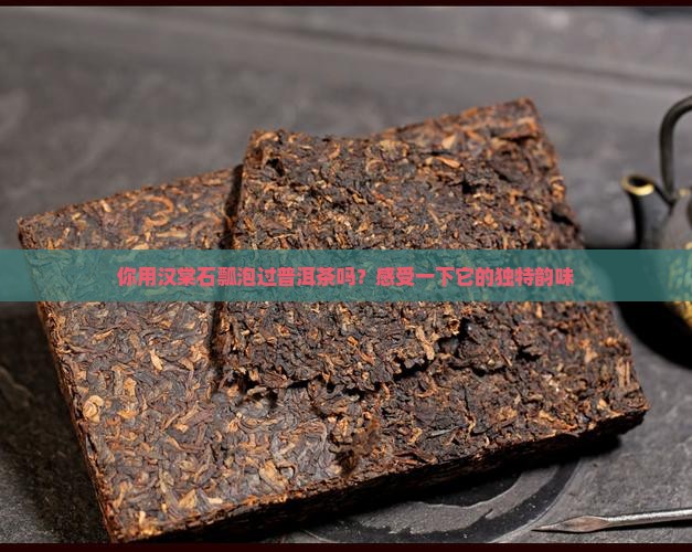 汉棠石瓢泡普洱茶