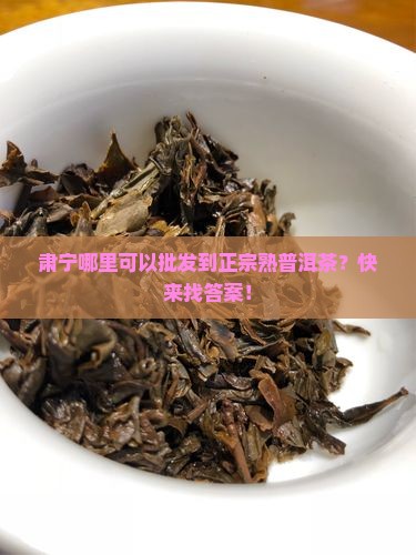 肃宁熟普洱茶批发