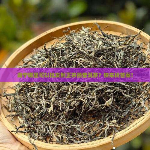 肃宁熟普洱茶批发