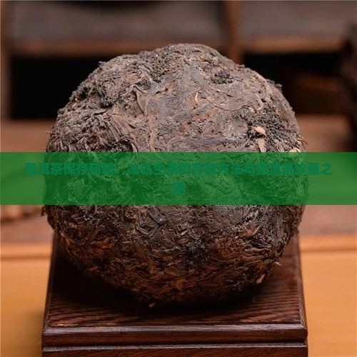 怎么样保存冰岛茶生茶