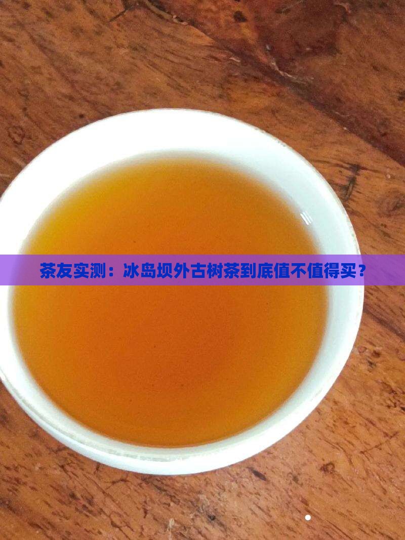 冰岛坝外古树茶