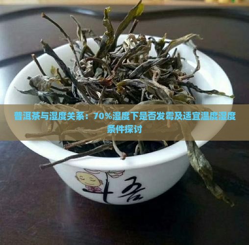 普洱茶与湿度关系