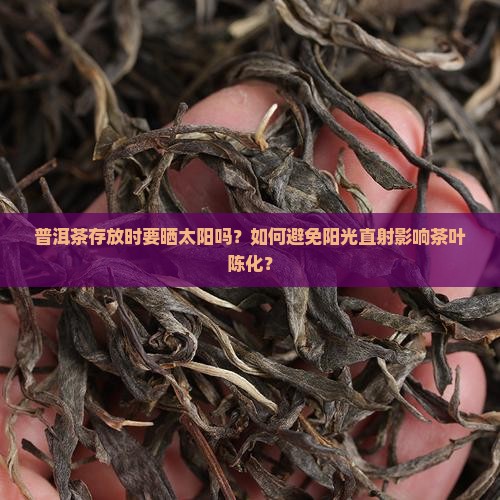 普洱茶存放时要晒太阳吗