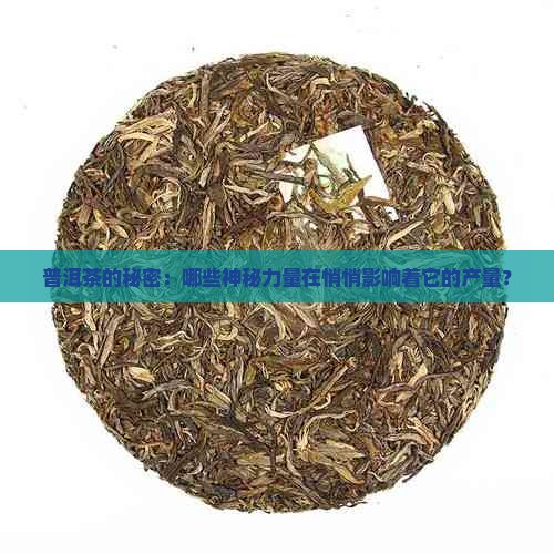 影响普洱茶产量的因素
