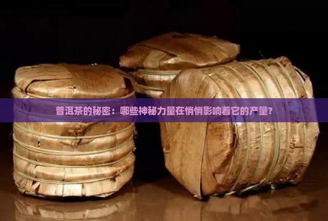 影响普洱茶产量的因素
