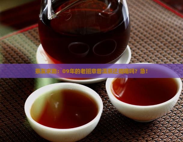 老班章09年普洱茶
