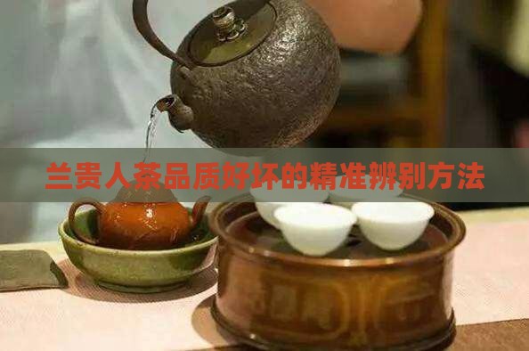 兰贵人茶好坏的区分