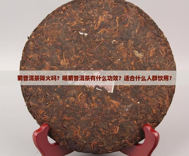 菊普洱茶降火吗