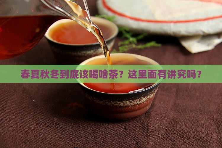 春夏秋冬喝什么茶有讲究吗