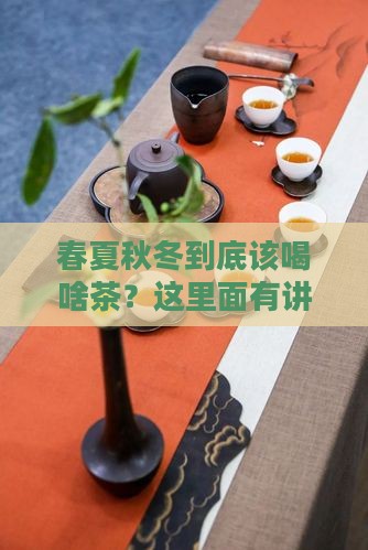 春夏秋冬喝什么茶有讲究吗
