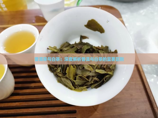 老年人白茶和普洱茶的区别