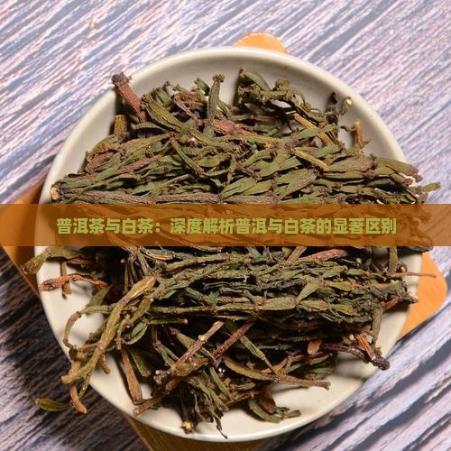 老年人白茶和普洱茶的区别