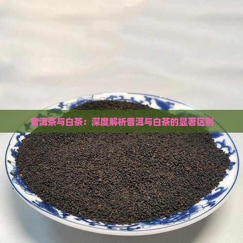 老年人白茶和普洱茶的区别