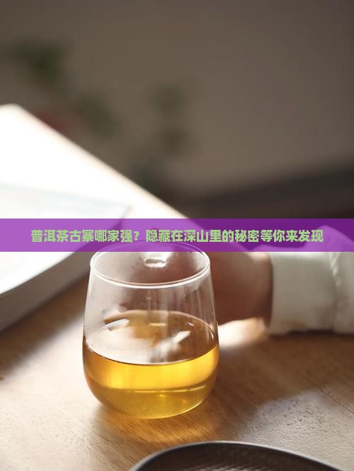 普洱茶古寨排名