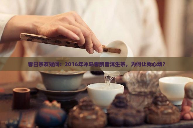 冰岛春韵2016普洱生茶