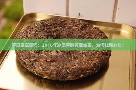 冰岛春韵2016普洱生茶