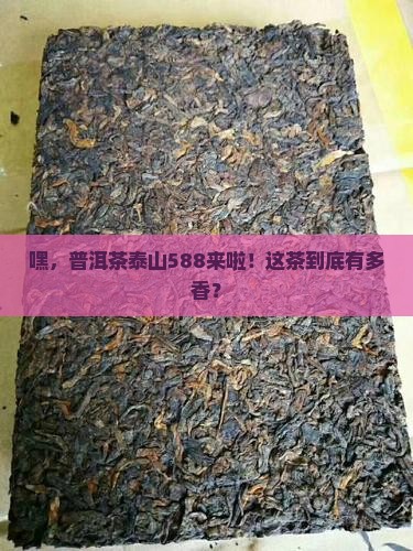 普洱茶泰山588