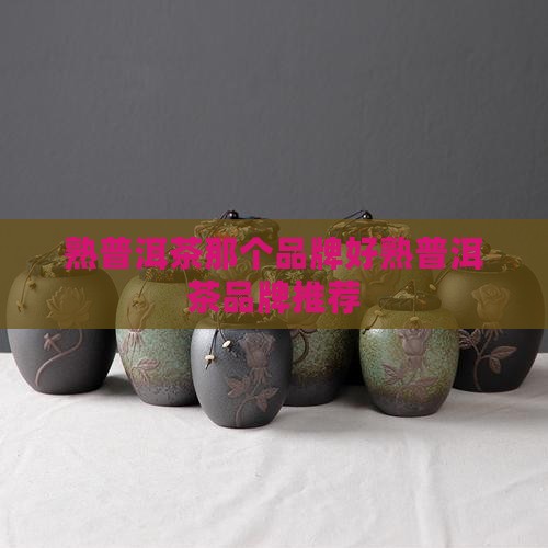熟普洱茶那个品牌好