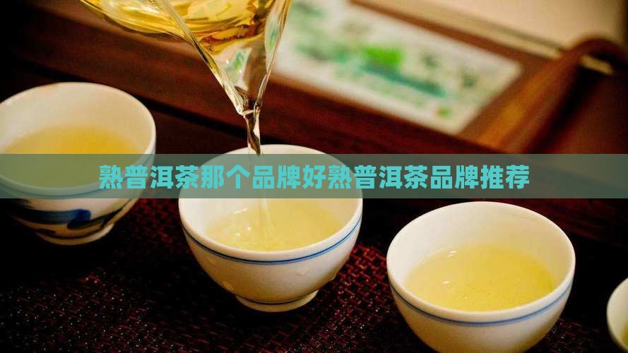 熟普洱茶那个品牌好