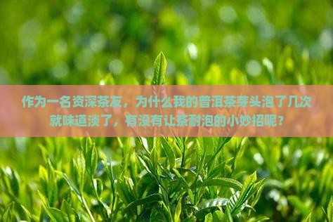 普洱茶芽头多不耐泡吗怎么办