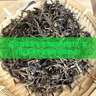 铁观音茶与普洱茶的区别