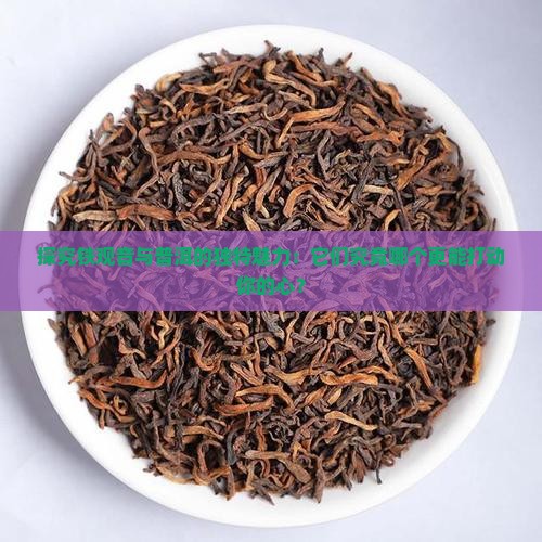 铁观音茶与普洱茶的区别